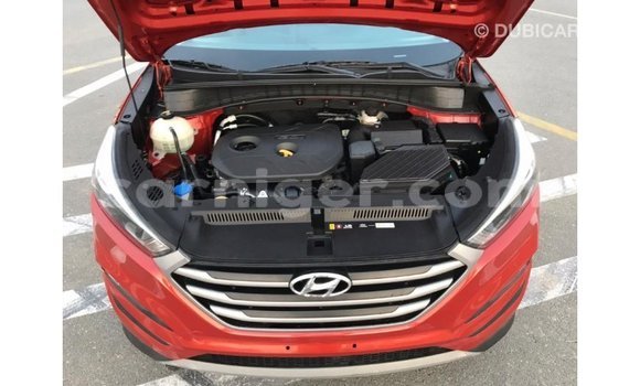 اشتري Imported Hyundai Tucson Red سيارة في Import - Dubai في أغاديز اشتري Imported Hyundai Tucson Red سيارة في Import - Dubai في أغاديز