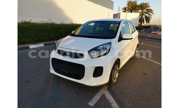 Buy Import Kia Picanto White Car in Import - Dubai in Agadez Buy Import Kia Picanto White Car in Import - Dubai in Agadez