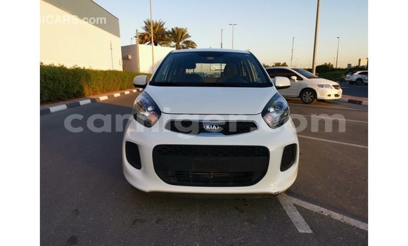 Buy Import Kia Picanto White Car in Import - Dubai in Agadez Buy Import Kia Picanto White Car in Import - Dubai in Agadez