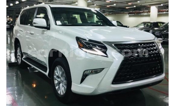 Buy Import Lexus GX White Car in Import - Dubai in Agadez Buy Import Lexus GX White Car in Import - Dubai in Agadez