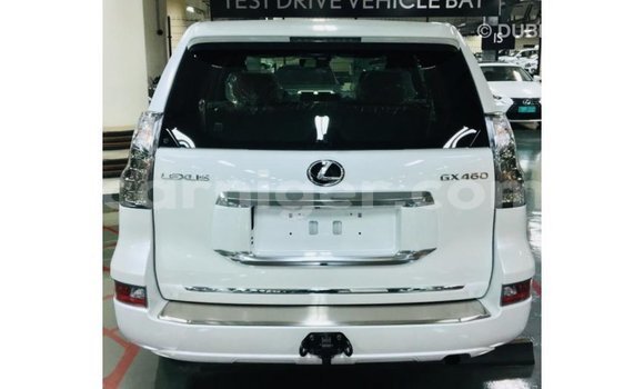 Buy Import Lexus GX White Car in Import - Dubai in Agadez Buy Import Lexus GX White Car in Import - Dubai in Agadez