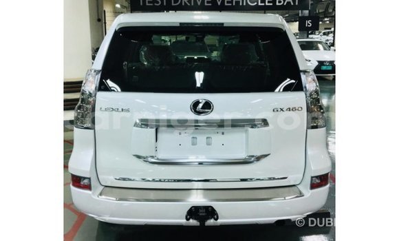 Buy Import Lexus GX White Car in Import - Dubai in Agadez Buy Import Lexus GX White Car in Import - Dubai in Agadez