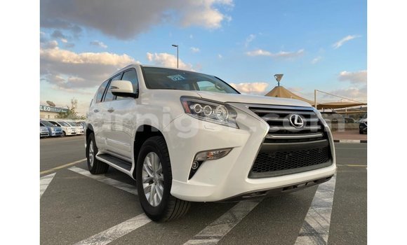 Buy Import Lexus GX White Car in Import - Dubai in Agadez Buy Import Lexus GX White Car in Import - Dubai in Agadez