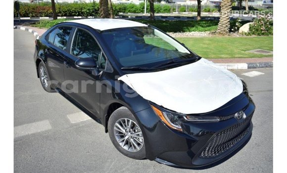 Sayi Imported Toyota Corolla Black Mota in Import - Dubai a Agadez Sayi Imported Toyota Corolla Black Mota in Import - Dubai a Agadez