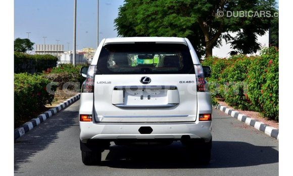 Sayi Imported Lexus GX White Mota in Import - Dubai a Agadez Sayi Imported Lexus GX White Mota in Import - Dubai a Agadez