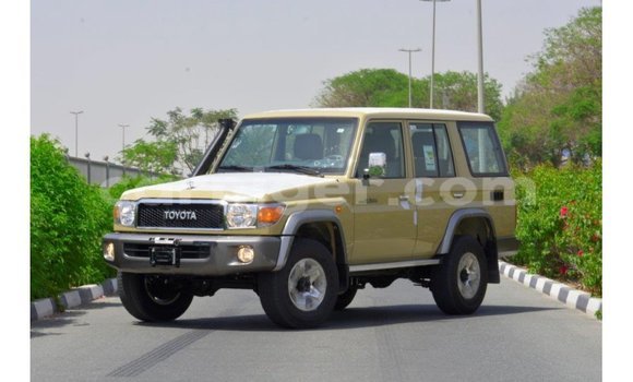Sayi Imported Toyota Land Cruiser Beige Babbar mota in Import - Dubai a Agadez Sayi Imported Toyota Land Cruiser Beige Babbar mota in Import - Dubai a Agadez