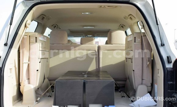 Sayi Imported Toyota Land Cruiser White Babbar mota in Import - Dubai a Agadez Sayi Imported Toyota Land Cruiser White Babbar mota in Import - Dubai a Agadez