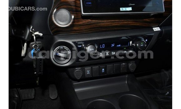 Sayi Imported Toyota Hilux Other Mota in Import - Dubai a Agadez Sayi Imported Toyota Hilux Other Mota in Import - Dubai a Agadez