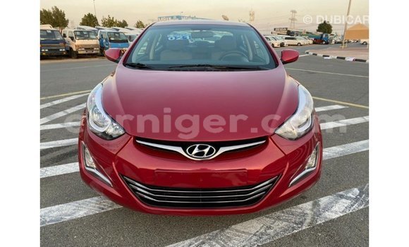 Acheter Import Voiture Hyundai Elantra Rouge à Import - Dubai, Agadez Acheter Import Voiture Hyundai Elantra Rouge à Import - Dubai, Agadez