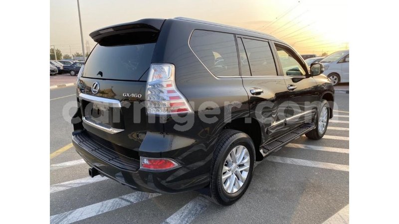 Big with watermark lexus gx agadez import dubai 5685