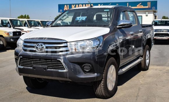 Sayi Imported Toyota Hilux Other Mota in Import - Dubai a Agadez Sayi Imported Toyota Hilux Other Mota in Import - Dubai a Agadez