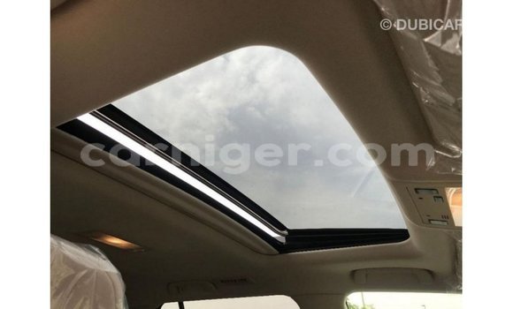 Acheter Import Utilitaire Toyota Land Cruiser Autre à Import - Dubai, Agadez Acheter Import Utilitaire Toyota Land Cruiser Autre à Import - Dubai, Agadez