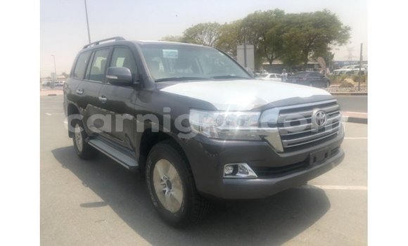 Buy Import Toyota Land Cruiser Other Truck in Import - Dubai in Agadez Buy Import Toyota Land Cruiser Other Truck in Import - Dubai in Agadez