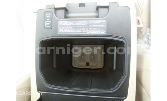 Acheter Import Utilitaire Toyota Land Cruiser Noir à Import - Dubai, Agadez Acheter Import Utilitaire Toyota Land Cruiser Noir à Import - Dubai, Agadez