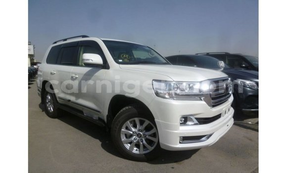 Acheter Import Utilitaire Toyota Land Cruiser Blanc à Import - Dubai, Agadez Acheter Import Utilitaire Toyota Land Cruiser Blanc à Import - Dubai, Agadez