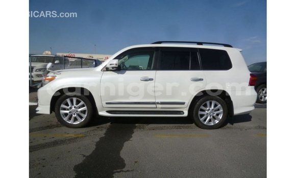 اشتري Imported Toyota Land Cruiser White شاحنة في Import - Dubai في أغاديز اشتري Imported Toyota Land Cruiser White شاحنة في Import - Dubai في أغاديز