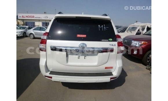 اشتري Imported Toyota Prado White سيارة في Import - Dubai في أغاديز اشتري Imported Toyota Prado White سيارة في Import - Dubai في أغاديز