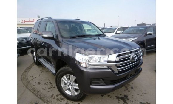 Acheter Import Utilitaire Toyota Land Cruiser Autre à Import - Dubai, Agadez Acheter Import Utilitaire Toyota Land Cruiser Autre à Import - Dubai, Agadez
