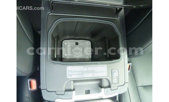 Acheter Import Utilitaire Toyota Land Cruiser Noir à Import - Dubai, Agadez Acheter Import Utilitaire Toyota Land Cruiser Noir à Import - Dubai, Agadez