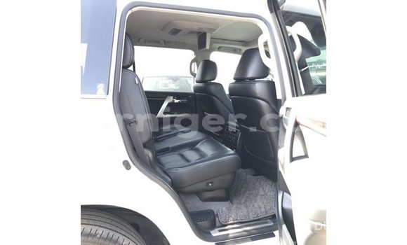 اشتري Imported Toyota Land Cruiser White شاحنة في Import - Dubai في أغاديز اشتري Imported Toyota Land Cruiser White شاحنة في Import - Dubai في أغاديز