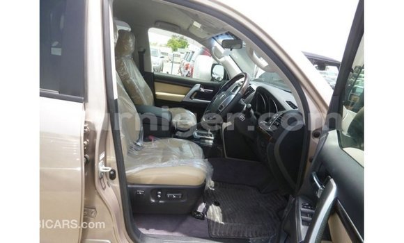 اشتري Imported Toyota Land Cruiser Other شاحنة في Import - Dubai في أغاديز اشتري Imported Toyota Land Cruiser Other شاحنة في Import - Dubai في أغاديز