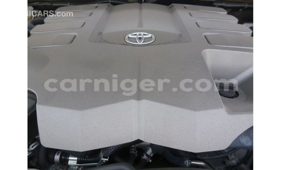اشتري Imported Toyota Land Cruiser Other شاحنة في Import - Dubai في أغاديز اشتري Imported Toyota Land Cruiser Other شاحنة في Import - Dubai في أغاديز