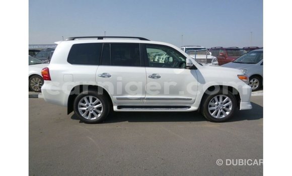 اشتري Imported Toyota Land Cruiser White شاحنة في Import - Dubai في أغاديز اشتري Imported Toyota Land Cruiser White شاحنة في Import - Dubai في أغاديز