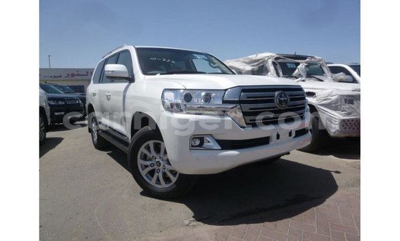 اشتري Imported Toyota Land Cruiser White شاحنة في Import - Dubai في أغاديز اشتري Imported Toyota Land Cruiser White شاحنة في Import - Dubai في أغاديز