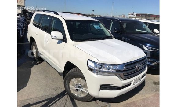 Acheter Import Utilitaire Toyota Land Cruiser Blanc à Import - Dubai, Agadez Acheter Import Utilitaire Toyota Land Cruiser Blanc à Import - Dubai, Agadez
