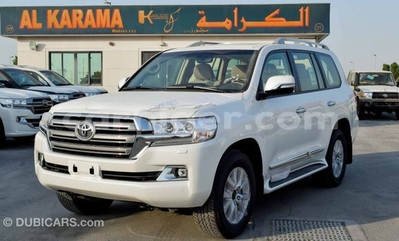 اشتري Imported Toyota Land Cruiser White شاحنة في Import - Dubai في أغاديز اشتري Imported Toyota Land Cruiser White شاحنة في Import - Dubai في أغاديز