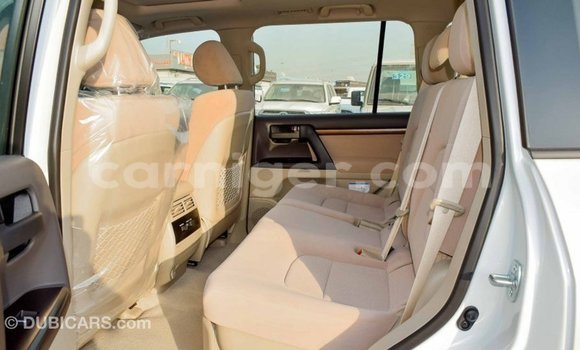 اشتري Imported Toyota Land Cruiser White شاحنة في Import - Dubai في أغاديز اشتري Imported Toyota Land Cruiser White شاحنة في Import - Dubai في أغاديز
