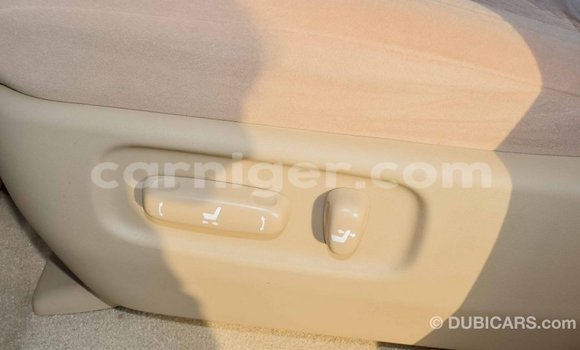 اشتري Imported Toyota Land Cruiser White شاحنة في Import - Dubai في أغاديز اشتري Imported Toyota Land Cruiser White شاحنة في Import - Dubai في أغاديز