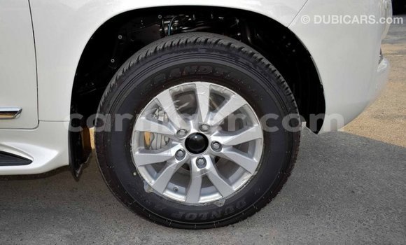 اشتري Imported Toyota Land Cruiser White شاحنة في Import - Dubai في أغاديز اشتري Imported Toyota Land Cruiser White شاحنة في Import - Dubai في أغاديز