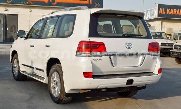 Acheter Import Utilitaire Toyota Land Cruiser Blanc à Import - Dubai, Agadez Acheter Import Utilitaire Toyota Land Cruiser Blanc à Import - Dubai, Agadez