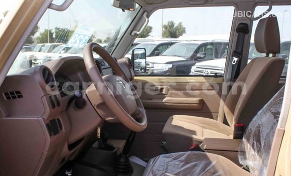 Sayi Imported Toyota Land Cruiser Beige Babbar mota in Import - Dubai a Agadez Sayi Imported Toyota Land Cruiser Beige Babbar mota in Import - Dubai a Agadez
