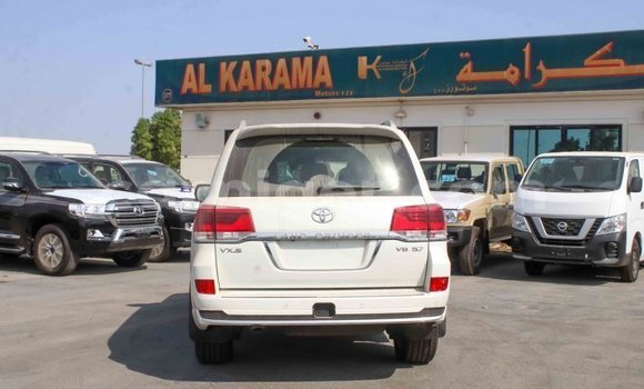 اشتري Imported Toyota Land Cruiser White شاحنة في Import - Dubai في أغاديز اشتري Imported Toyota Land Cruiser White شاحنة في Import - Dubai في أغاديز