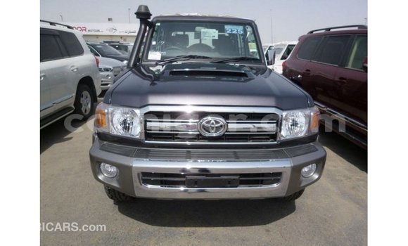 Acheter Import Utilitaire Toyota Land Cruiser Autre à Import - Dubai, Agadez Acheter Import Utilitaire Toyota Land Cruiser Autre à Import - Dubai, Agadez