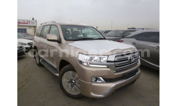 Acheter Import Utilitaire Toyota Land Cruiser Autre à Import - Dubai, Agadez Acheter Import Utilitaire Toyota Land Cruiser Autre à Import - Dubai, Agadez