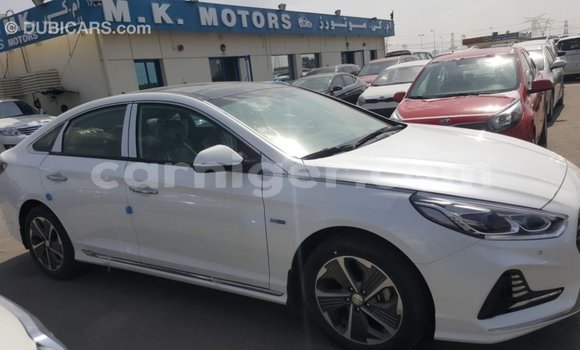 اشتري Imported Hyundai Sonata White سيارة في Import - Dubai في أغاديز اشتري Imported Hyundai Sonata White سيارة في Import - Dubai في أغاديز