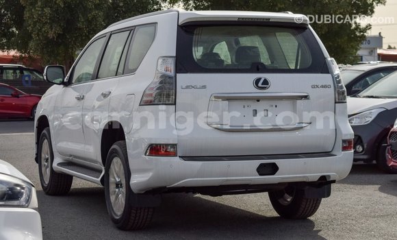 Acheter Import Voiture Lexus GX Blanc à Import - Dubai, Agadez Acheter Import Voiture Lexus GX Blanc à Import - Dubai, Agadez