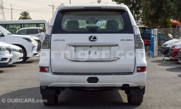 Acheter Import Voiture Lexus GX Blanc à Import - Dubai, Agadez Acheter Import Voiture Lexus GX Blanc à Import - Dubai, Agadez