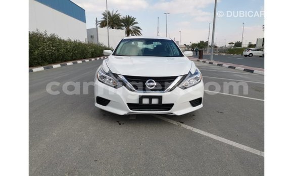 Buy Import Nissan Altima White Car in Import - Dubai in Agadez Buy Import Nissan Altima White Car in Import - Dubai in Agadez