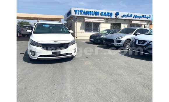 Sayi Imported Kia Carnival White Mota in Import - Dubai a Agadez Sayi Imported Kia Carnival White Mota in Import - Dubai a Agadez