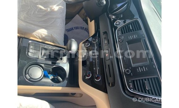 Sayi Imported Kia Carnival White Mota in Import - Dubai a Agadez Sayi Imported Kia Carnival White Mota in Import - Dubai a Agadez