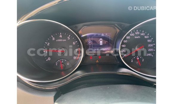 Sayi Imported Kia Carnival White Mota in Import - Dubai a Agadez Sayi Imported Kia Carnival White Mota in Import - Dubai a Agadez