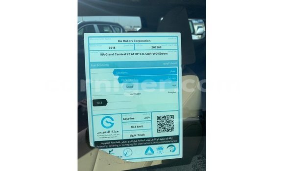 Sayi Imported Kia Carnival White Mota in Import - Dubai a Agadez Sayi Imported Kia Carnival White Mota in Import - Dubai a Agadez