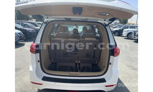 Sayi Imported Kia Carnival White Mota in Import - Dubai a Agadez Sayi Imported Kia Carnival White Mota in Import - Dubai a Agadez