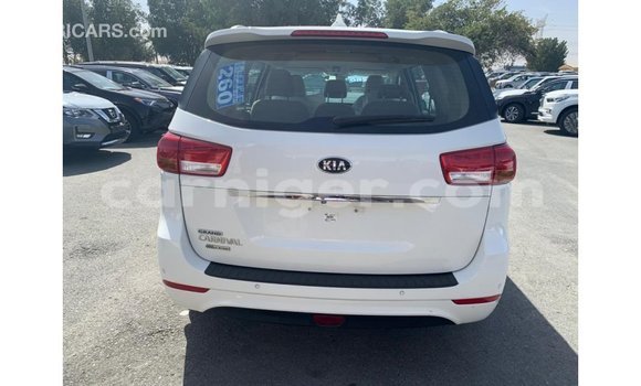 Sayi Imported Kia Carnival White Mota in Import - Dubai a Agadez Sayi Imported Kia Carnival White Mota in Import - Dubai a Agadez