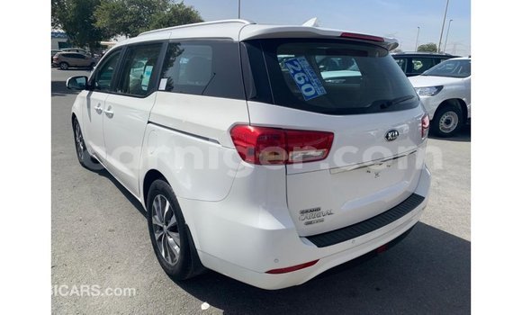 Sayi Imported Kia Carnival White Mota in Import - Dubai a Agadez Sayi Imported Kia Carnival White Mota in Import - Dubai a Agadez