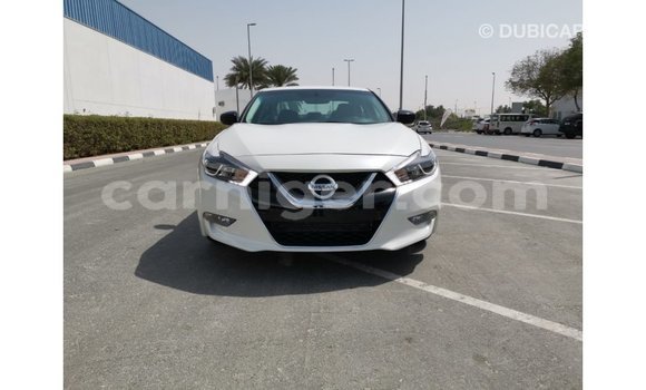 Buy Import Nissan Maxima White Car in Import - Dubai in Agadez Buy Import Nissan Maxima White Car in Import - Dubai in Agadez